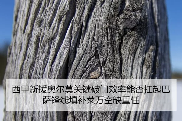 xi-jia-xin-yuan-ao-er-mo-guan-jian-po-men-xiao-lv-neng-fou-kang-qi-ba-sa-feng-xian-tian-bu-lai-wan-kong-que-zhong-ren-3-316.jpg
