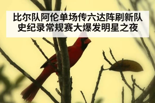 比尔队阿伦单场传六达阵刷新队史纪录常规赛大爆发明星之夜