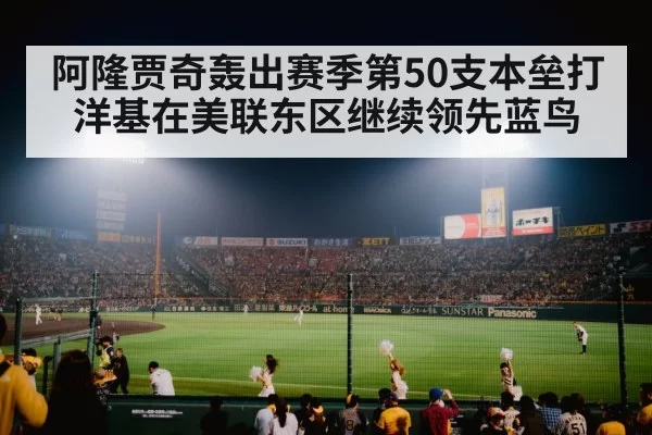 baseball stadium crowd night