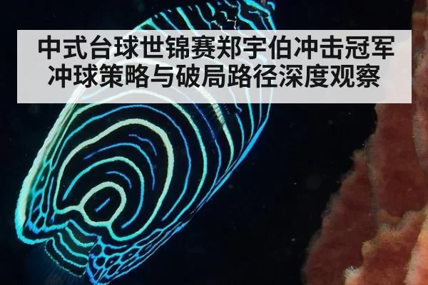 中式台球世锦赛郑宇伯冲击冠军冲球策略与破局路径深度观察